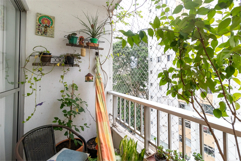 Sun Garden