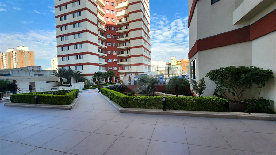 TERRAS ALTAS