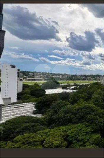 IBIRÁ