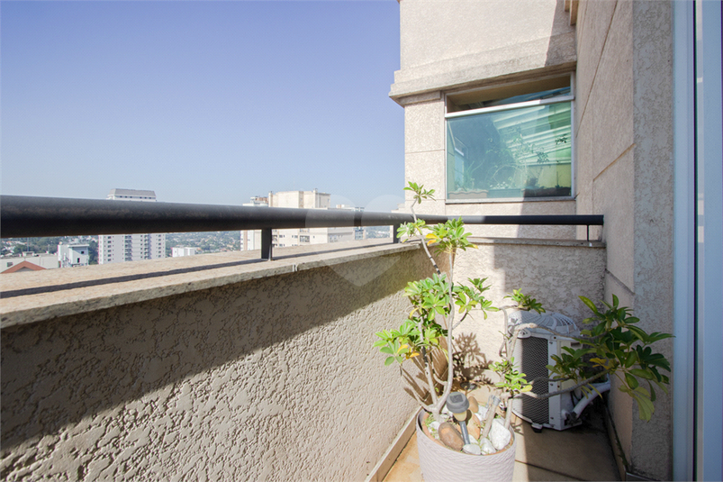 JARDINS DE VILLANDRY