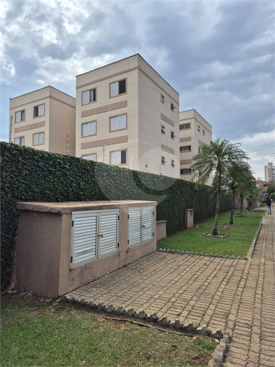 João Toledo de Lara