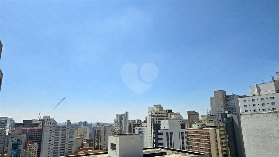 Perdiz