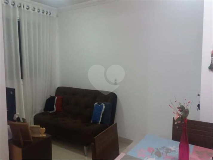 Certto Jaraguá - Alegria - 1ª Fase