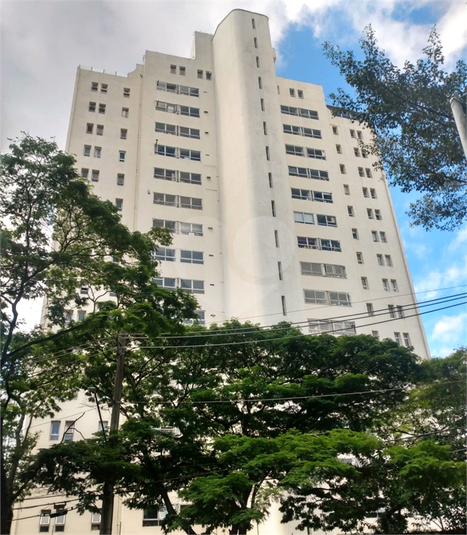 PAINEIRAS DO MORUMBI