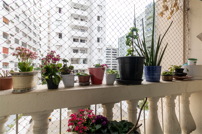 SOLAR DAS PETUNIAS