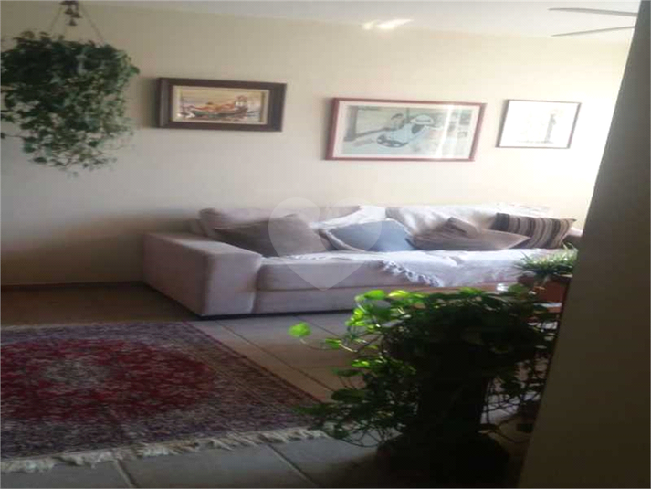 Bandeirantes Borba Gato