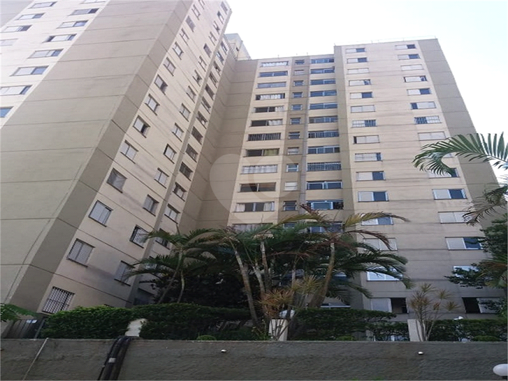 PARQUE MORUMBI