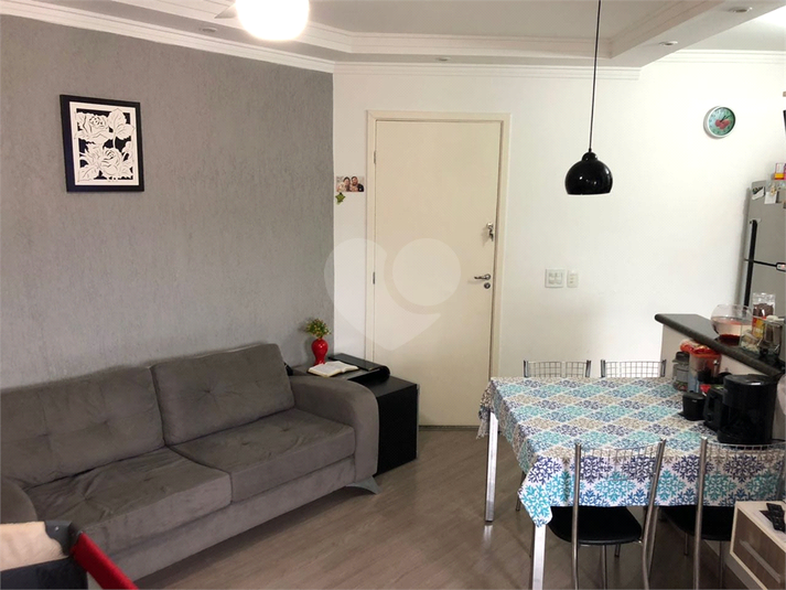 Premmio Vila Nova - Fase IV