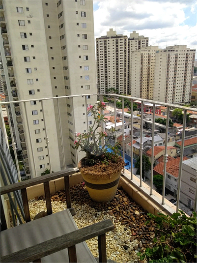 JARDIM D´ AMPEZZO