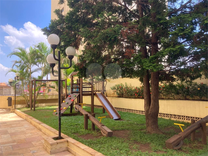 Jardins De Bragança