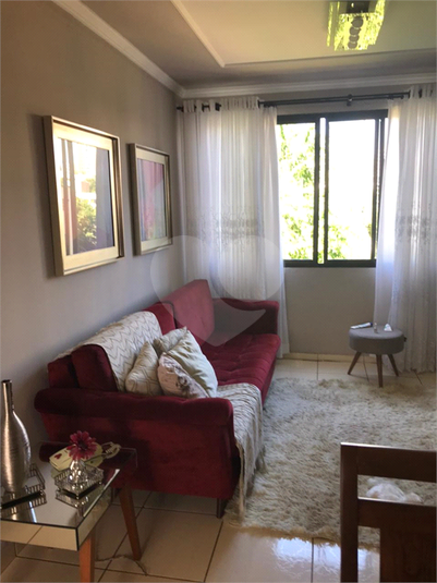 Jardim Figueiras