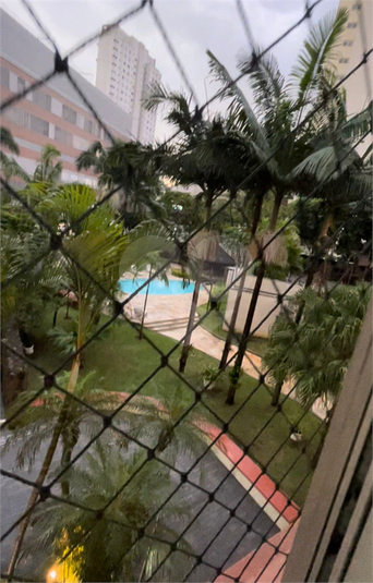 SOL DE MARIANA
