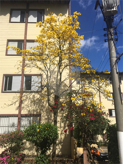 condominio conjunto residencial cupece 