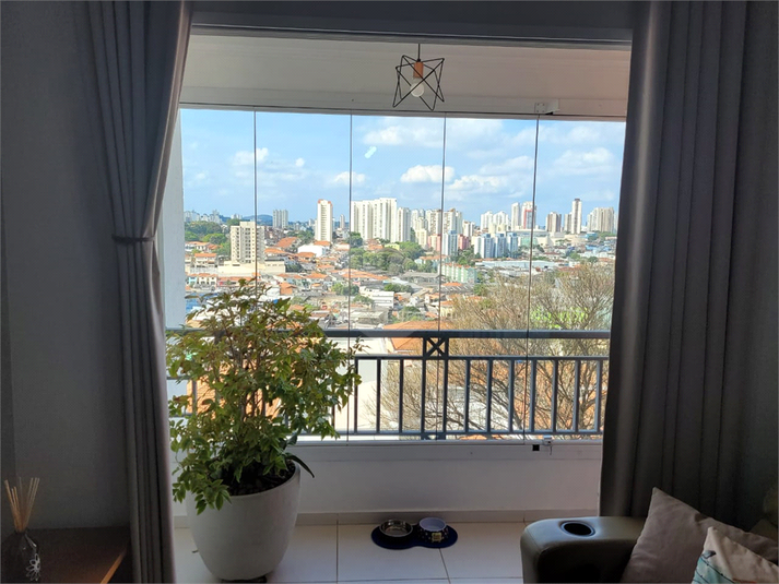 CHÁCARA DA COLINA