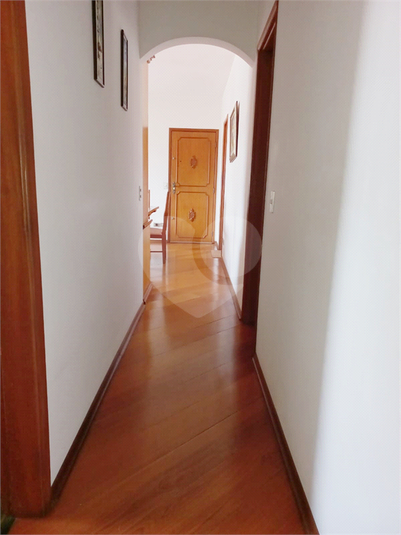 Conjunto Jardin De Villandry