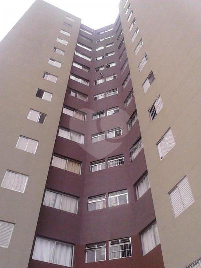ANA LUIZA