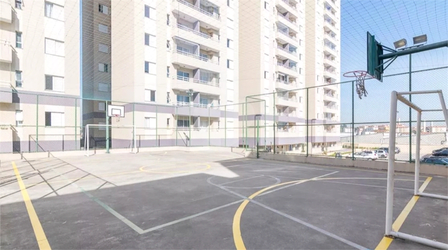 Portal dos Pássaros II