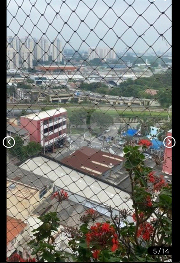 ROSSI PENHA