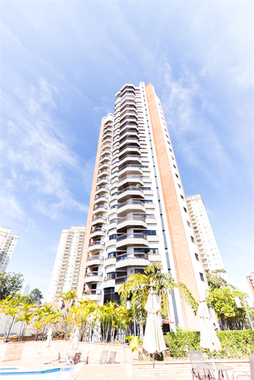 RUA PROFESSOR PEDREIRA DE FREITAS,373
