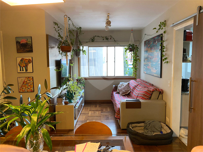 MAISON ROSE