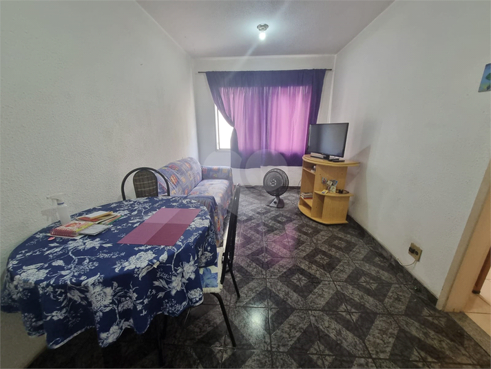 Rua Caobi 210