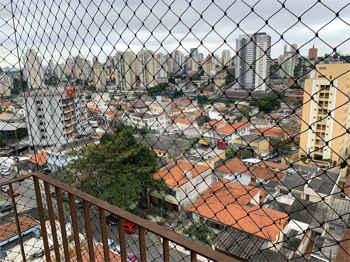 MARGARIDAS