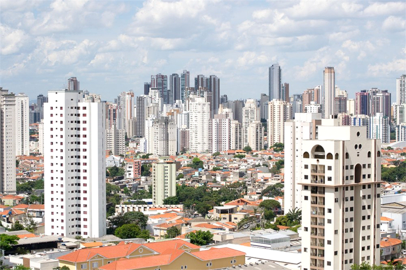 MONTE BELO
