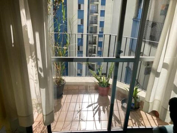 Paço Da Universidades