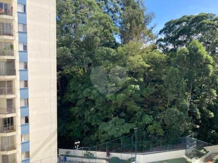 Paço Da Universidades