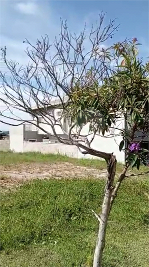 Bosque Dos Cambarás