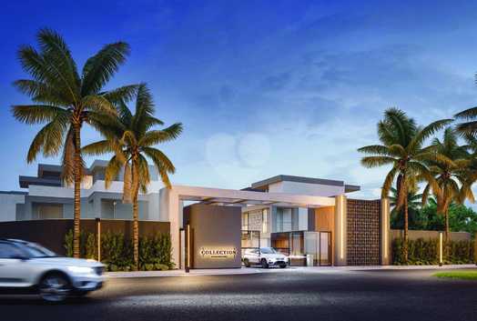 Collection - Santa Helena