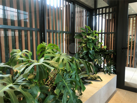 Jardim Lobato