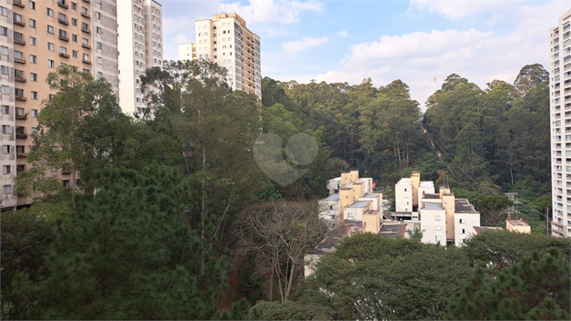 Aluguel Apartamento São Paulo Vila Andrade 1