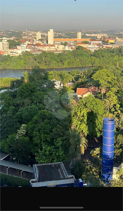 Aluguel Apartamento Piracicaba São Dimas 1