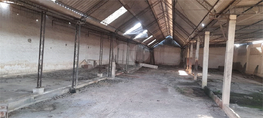 Foto REO1012662