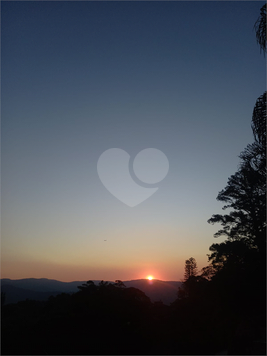 Foto REO1012835
