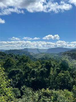Foto REO1012877