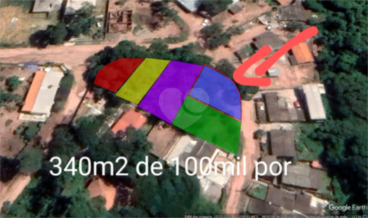 Foto REO1012929