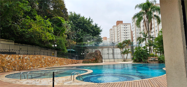 Aluguel Apartamento São Paulo Jardim Íris 1