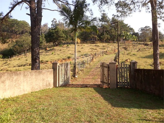 Venda Sítio São Roque Bairro Do Cambará 1