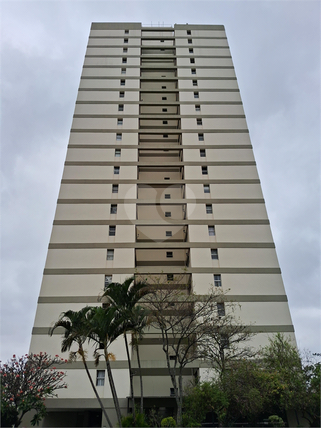 Aluguel Apartamento São Paulo Vila Aurora (zona Norte) 1