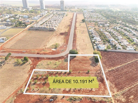 Foto REO1016642