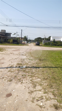 Foto REO1018861
