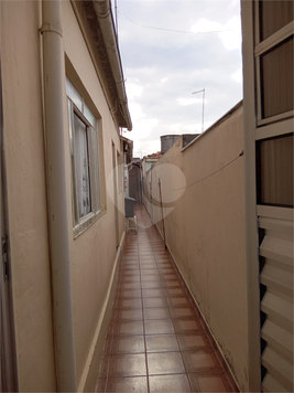 Foto REO1021627