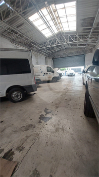Foto REO1022792