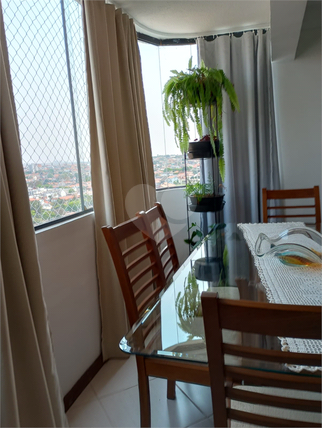 Venda Apartamento Sorocaba Vila Trujillo 1