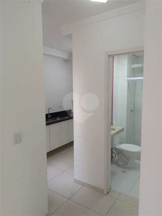 Aluguel Apartamento São Paulo Água Fria 1