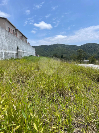 Venda Terreno Mogi Das Cruzes Vila São Paulo 1