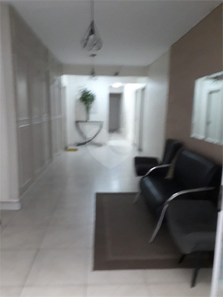 Aluguel Apartamento São Paulo Vila Hamburguesa 1