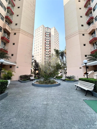 Aluguel Apartamento São Paulo Vila Constança 1